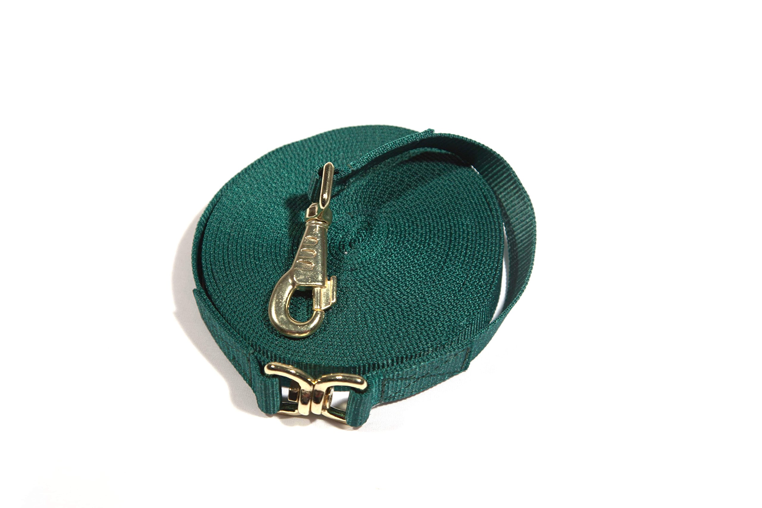 Kensington Flat Nylon Lunge Line - Horse & Dog Training Rope Equipment with Brass Swivel Bolt Snap - 1 inch x 30 ft.