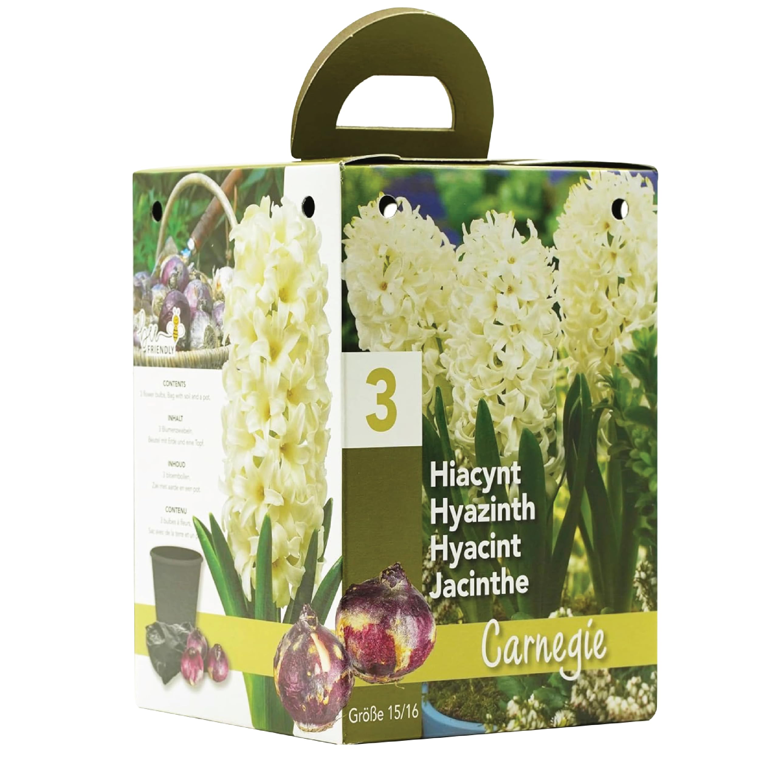 Carnegie Hyacinth Gift Box | Bee Friendly | Complete Growing Kit with 3 White Hyacinth Bulbs | Elegant White Hyacinth Kit with Pot and Compost | Ideal Gift — image 1