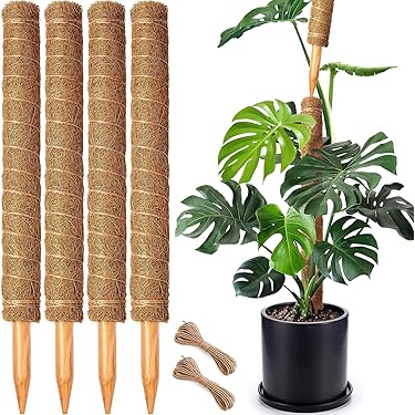 Estante Trepador Para Plantas Soportes Para Tallos De Planta | Envío Gratis