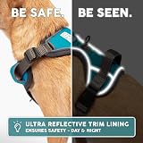 Embark Pets Urban Dog Harness No Pull Front Back Leash Clips Adjustable view 8