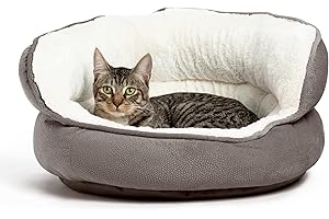 BEST FRIENDS BY SHERI Pet Throne High Bolster Orthopedic Relief Cat and Dog Bed, Gray, Mini