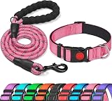 haapaw Reflective Padded Dog Collar with Neoprene Adjustable Nylon Lead Included