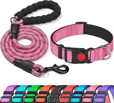 haapaw Reflective Padded Dog Collar with Neoprene Adjustable Nylon Lead Included
