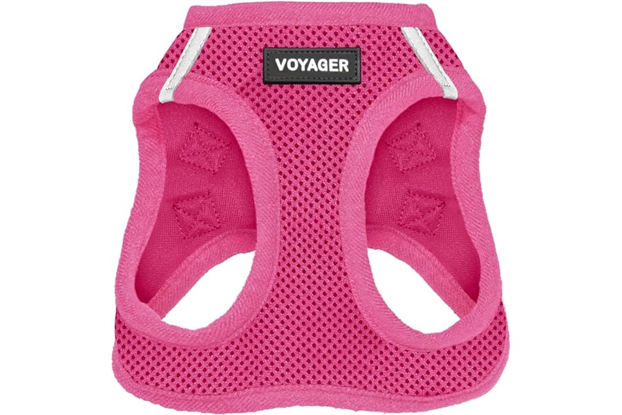 Best Pet Supplies Voyager Step-in Air Harness - All Weather Mesh, Reflective, No Pull Harness for Dogs, Cats - Secure with Hook & Loop Fastener, Buckle, Double D-Rings - Fuchsia, S