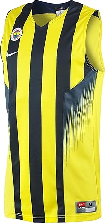 everlast fit punching bag