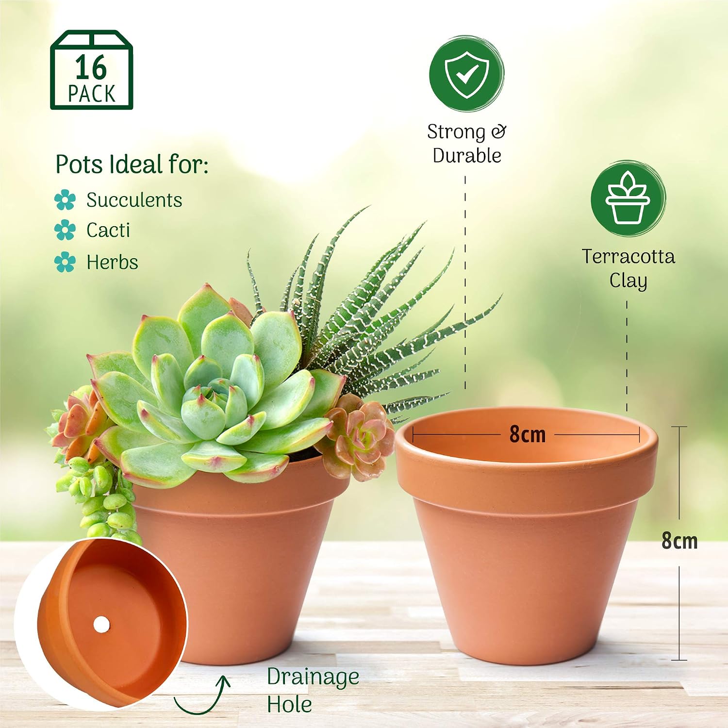 Green Thumbz Terracotta Plant Pots, 8cm x 16 Pack Small Plant Pots, Multi Purpose Mini Terracotta Pots for Plants Flowers - Image 3