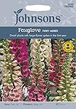 Johnsons 22694 Flower Seeds, Foxglove Foxy Mixed