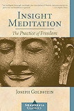 Insight Meditation: A Psychology of Freedom (Shambhala Classics)