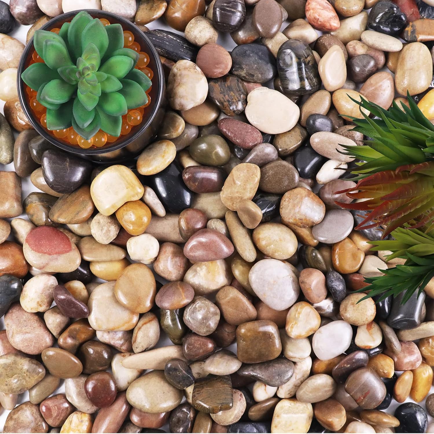 Hardscaping Materials - Lechloris 2LBS Polished Pebbles for Plants -Natural River Rocks- Decorative Stones for Vases, Succulents, Fish Tank, Outdoor Garden Landscaping, Medium Rain Forest