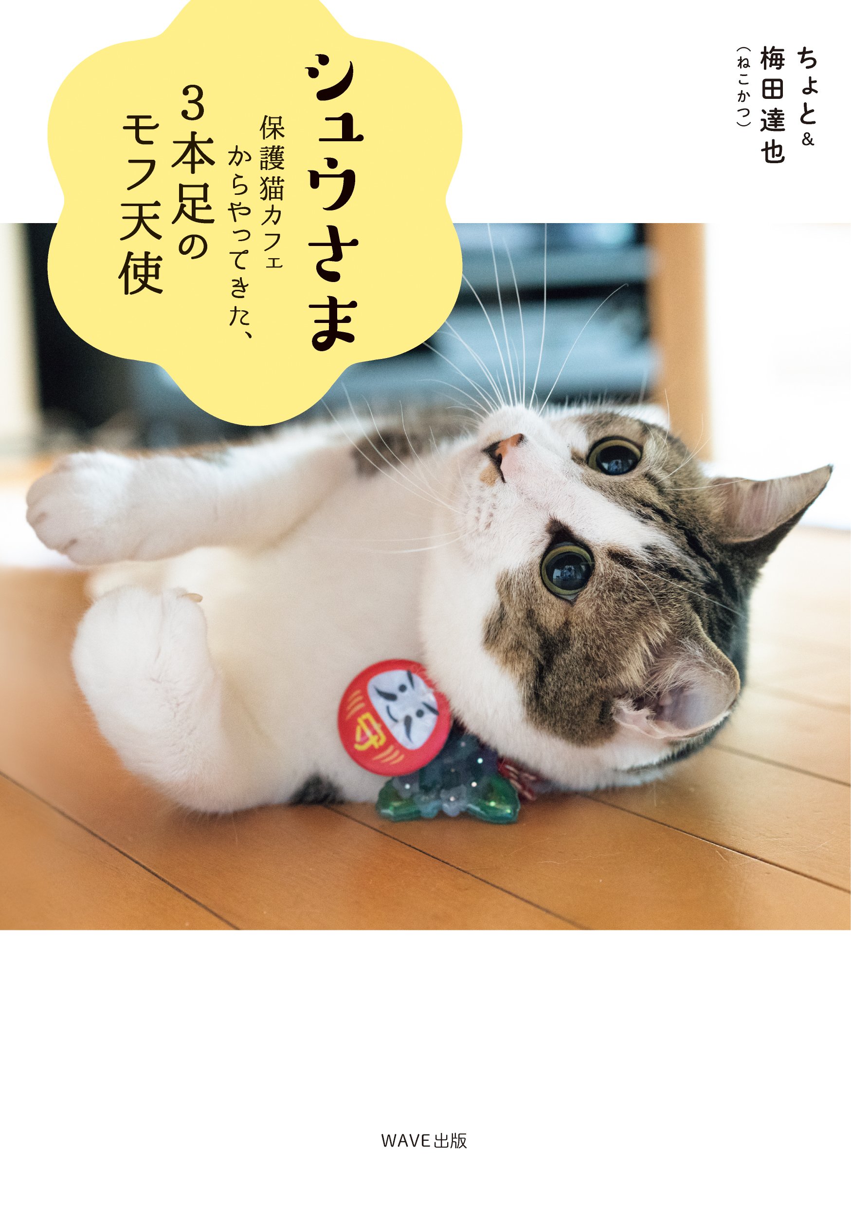 シュウさま 保護猫カフェからやってきた3本足のモフ天使 ちょと 梅田 達也 卵山 玉子 本 通販 Amazon