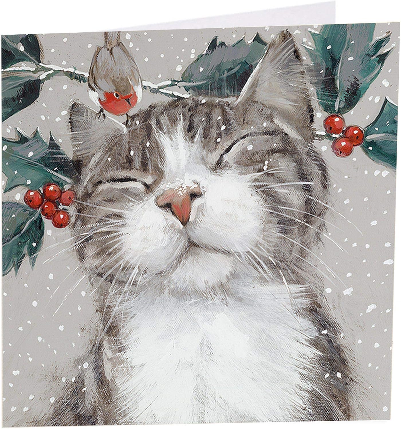 HDmirrorR Art Beat Cat Christmas Cards - Nipping at your nose - Pack of 6 in aid of Shelter