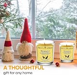 Prices Household Pet Jar Candle Odour Eliminating Orange Lemon Thyme long view 4