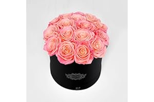 A 100% Real Roses That Last Years - Eternal Petals, Handmade in UK – Dozen Roses, Round Black Flower Box (Double Pink)
