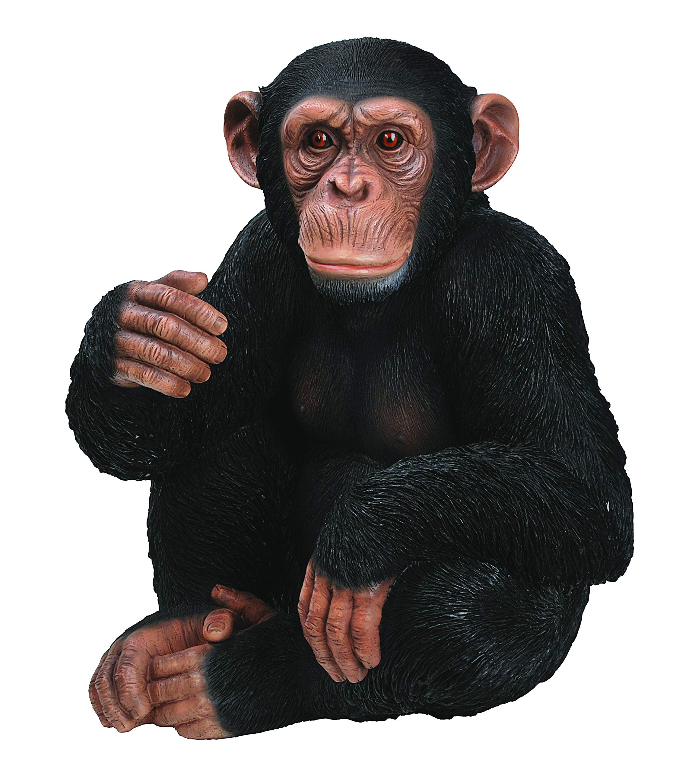 Vivid Arts Real Life Sitting Chimpanzee | Resin Home or Garden Decoration | XRL-CHM3-D Black