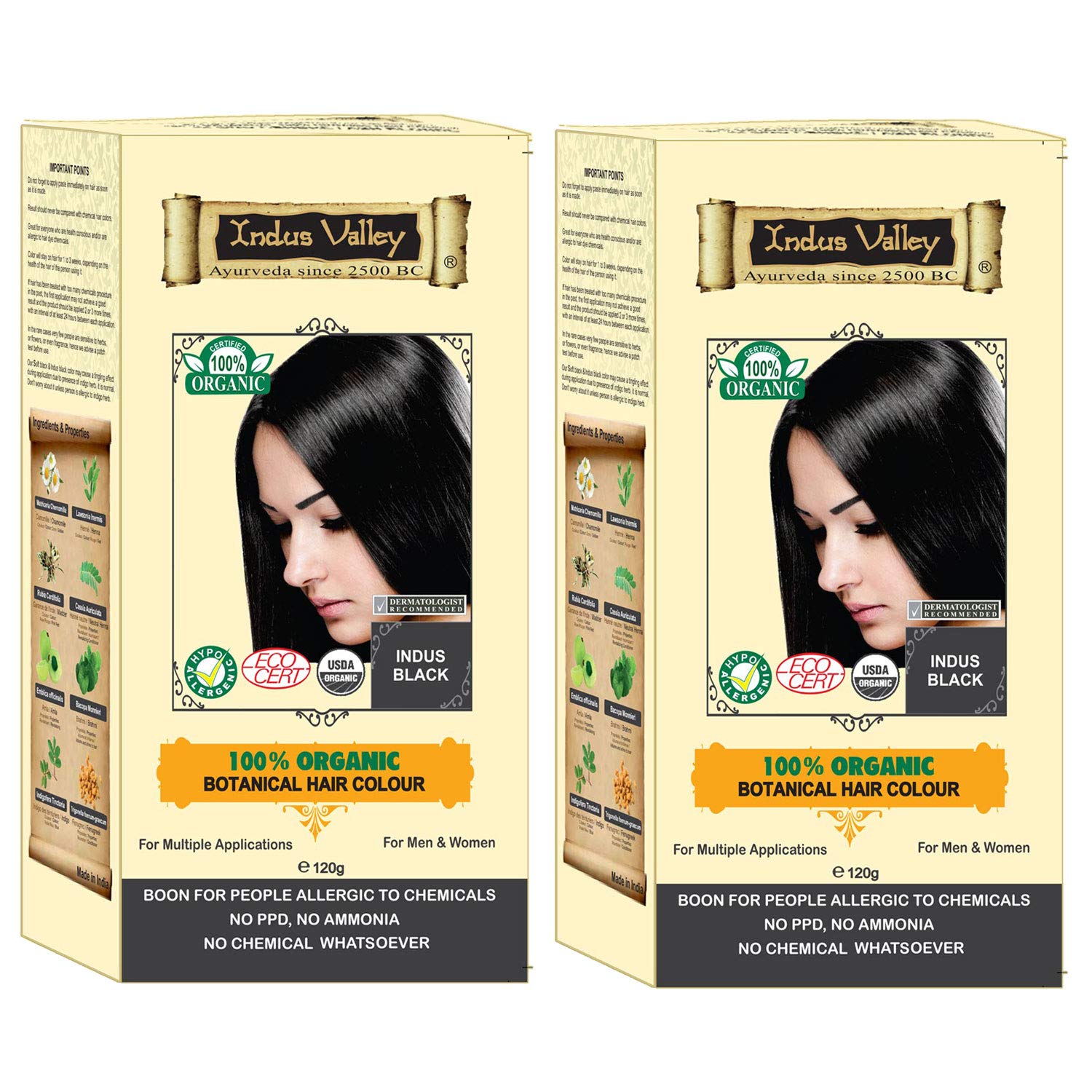 Buy Certified Organic Indus Black Hair Colour Dermatologist