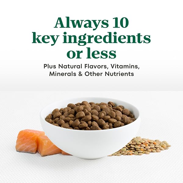 NUTRO LIMITED INGREDIENT DIET DRY DOG FOOD, ADULT DOG FOOD DRY SALMON & LENTILS RECIPE, 4 LBS.