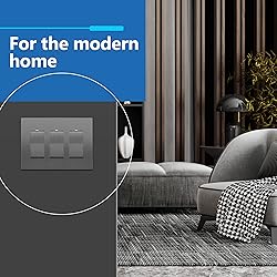LIDER Matte Finish Decorator Switch
