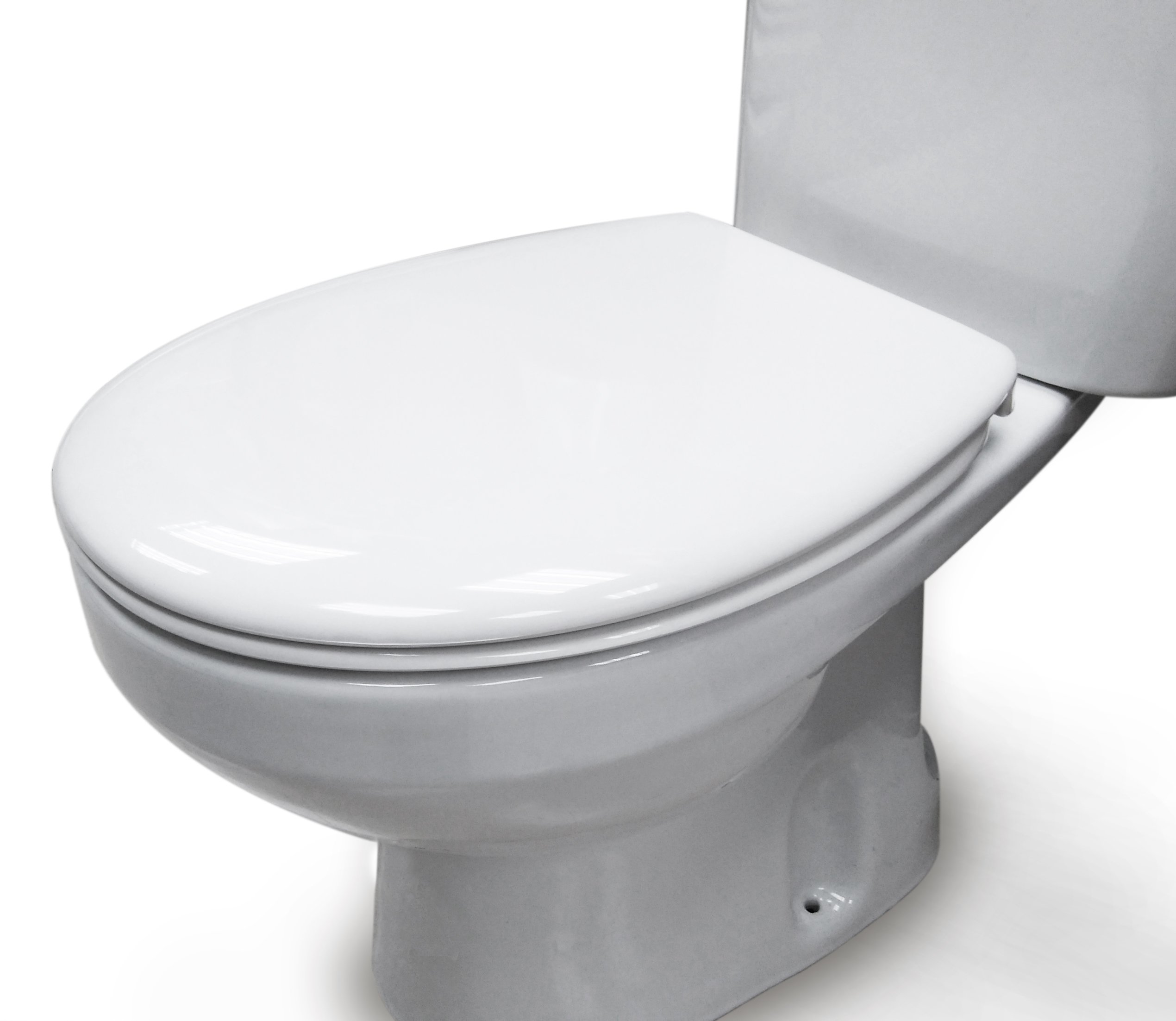 WC TOILET SEAT COMPATIBLE SOFTCLOSE O SHAPE ADJUSTABLE HINGE