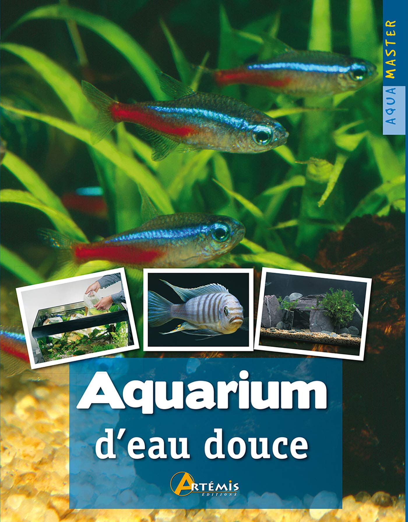 Aquarium D Eau Douce Aquamaster French Edition Thraves Hiscock Amazon Com Books Aquarium D Eau Douce Aquamaster French Edition Thraves Hiscock Amazon Com Books