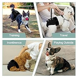 Grecle Washable Female Dog Diapers - Premium