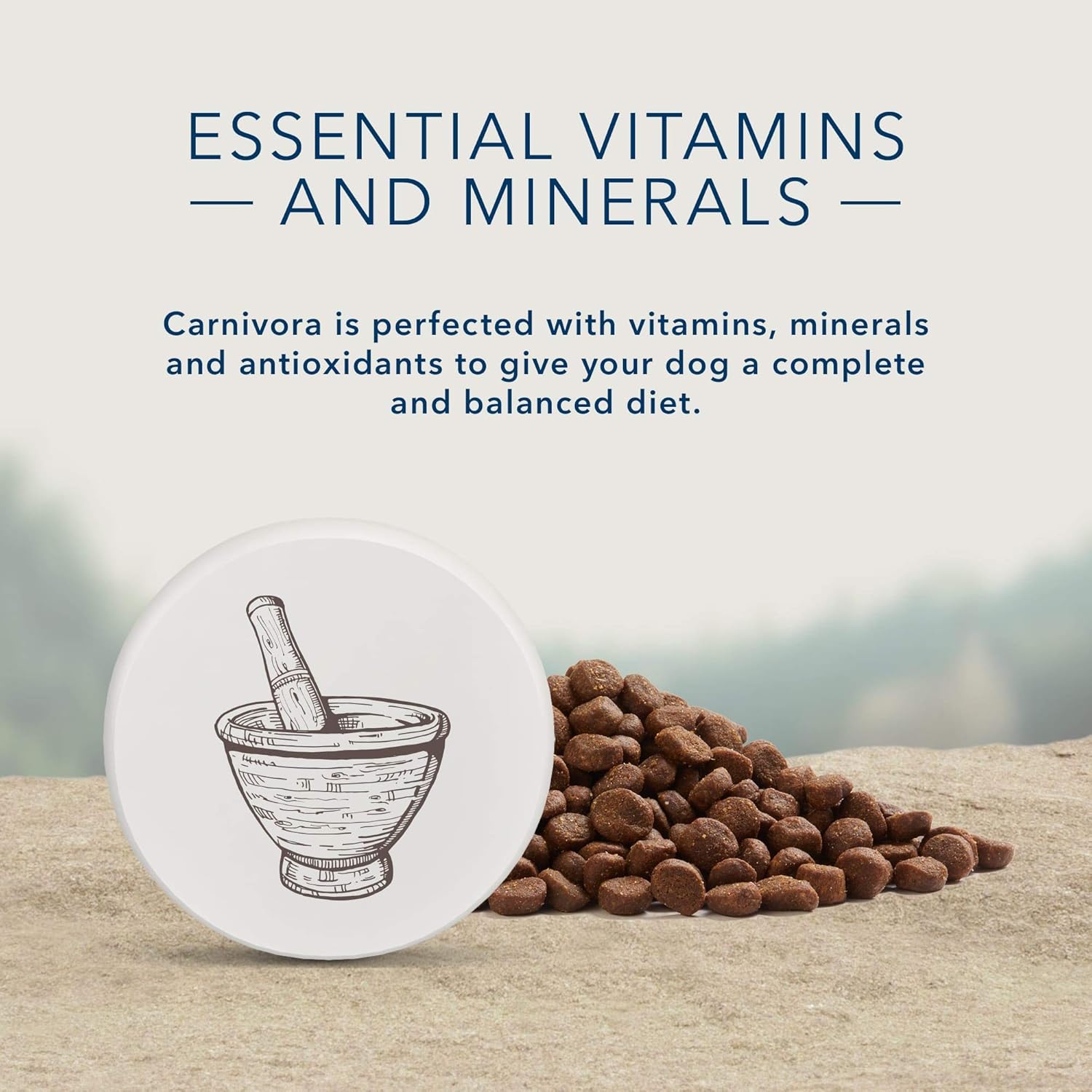 blue buffalo carnivora