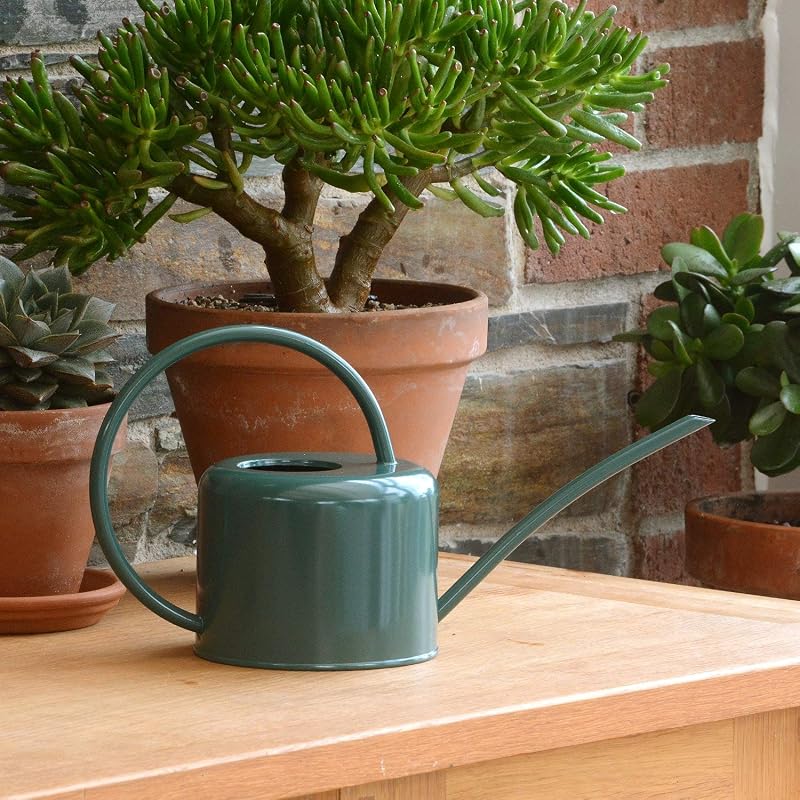 CKB LTD Indoor Watering Can 1.1L Dark Green Galvanised Steel Narrow Spout