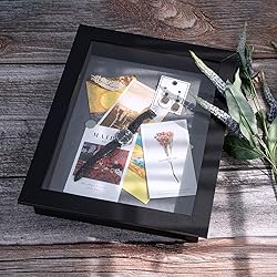 Golden State Art, 11x14 Shadow Box Frame Display