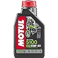 Motul 104066 Oil