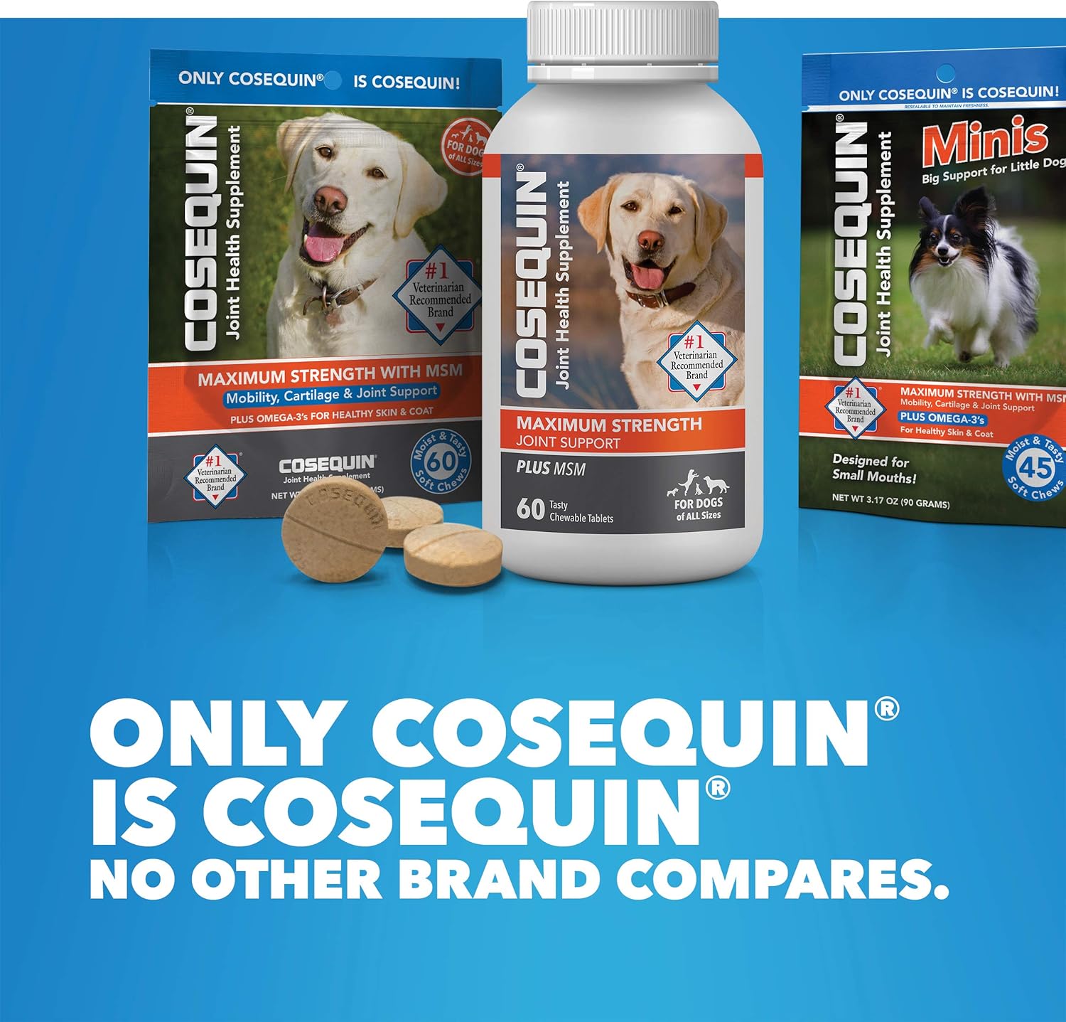 Cosequin Soft Chews with MSM and Omega-3s, 120 ct : Pet Supplies