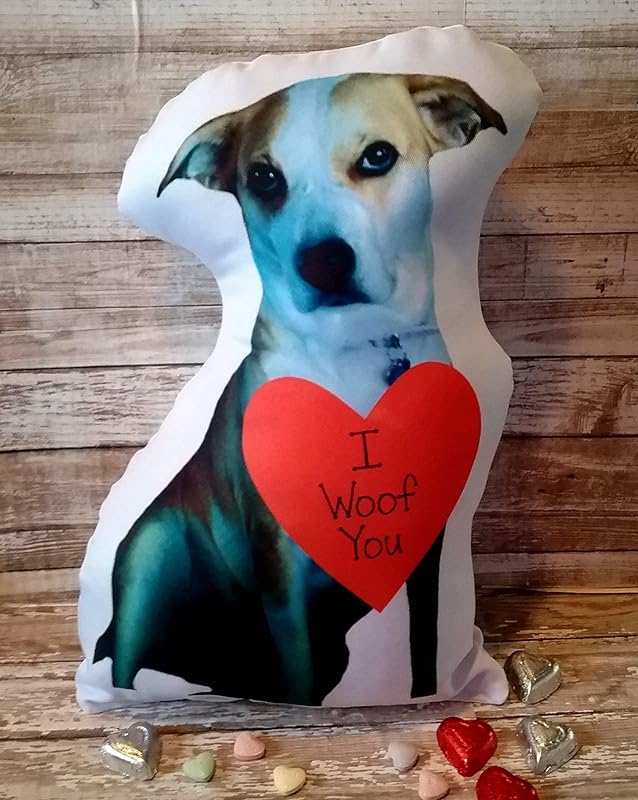 Huggable Valentine Pet Photo Pillow