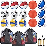 Leyndo 18 Pcs Sport Balls Bulk Set Basketball Football Soccer Playground Balls Volleyball Baseball with Sport Equipment Bag Pump for Adults Outdoor Indoor Recess PE Gifts Back to School