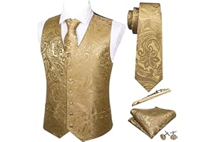 Barry.Wang Mens Paisley V-neck Suit Vest Formal/Leisure Silk Jacquard Waistcoat Tie Set 5PCS