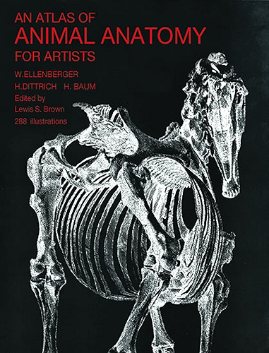 Download An Atlas of Animal Anatomy for Artists (Dover Anatomy for Artists) (English Edition) PDF
