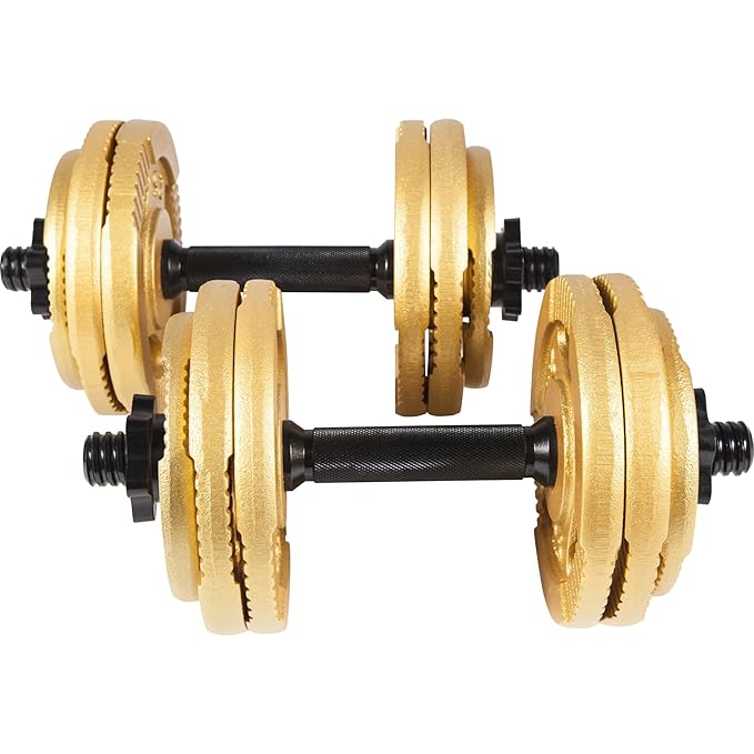 GORILLA SPORTS® Kurzhantel-Set 30 kg Gusseisen Gripper Gold/Silber / Schwarz - Hantelstangen, Gewichte und Sternverschlüssen 