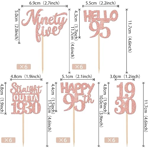 95th Birthday Cupcake Toppers Birthday Decoration 95 Cupcake