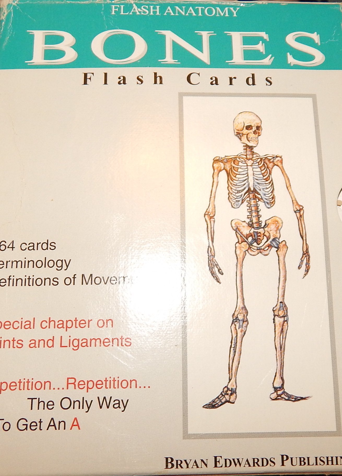 Flash Anatomy Flash Cards The Bones Bonsall Andrew Amazon Com Books