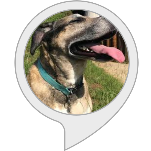 Barking Dog For Routines Alexa Skills
