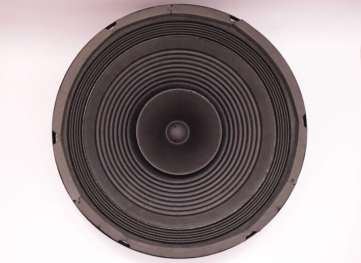 Electronicspices 100W MAX Power Audio Speaker (12Inch) Amazon.in