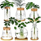 Anboliwb 6 Pcs Plants Propagation Stations Glass Planter Terrariums with Wooden Lid and Bamboo Stand Desktop Propagation Vases Jars for Plant Growing Hydroponic Home Office Tabletop Garden Decoration