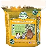 Oxbow Orchard Hay, Rabbit &amp; Guinea Pig Hay, Hand-Sorted, De-Dusted, 40 oz | Orchard Grass Hay, Bunny Hay For Rabbits, Guinea Pigs, Bunnies and Chinchillas, Made in USA