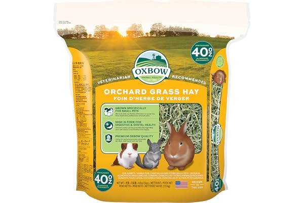 Oxbow Orchard Hay, Rabbit & Guinea Pig Hay, Hand-Sorted, De-Dusted, 40 oz | Hand-Sorted, De-Dusted, Oxbow Orchard Grass Hay, Bunny Hay For Rabbits, Guinea Pigs, Bunnies and Chinchillas, Made in USA