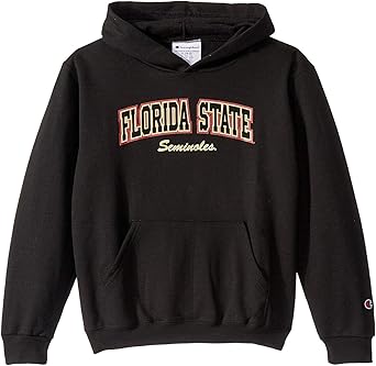 fsu champion hoodie