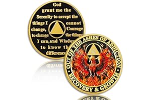 YRCKUDZKG Phoenix in Fire 4 Year Sobriety Coin, Reborn in a Fire Four Year Sober Chip - AA Chips and Medallion - Recovery AA Coin - Alcoholics Anonymous Sobriety Gifts for Men Women