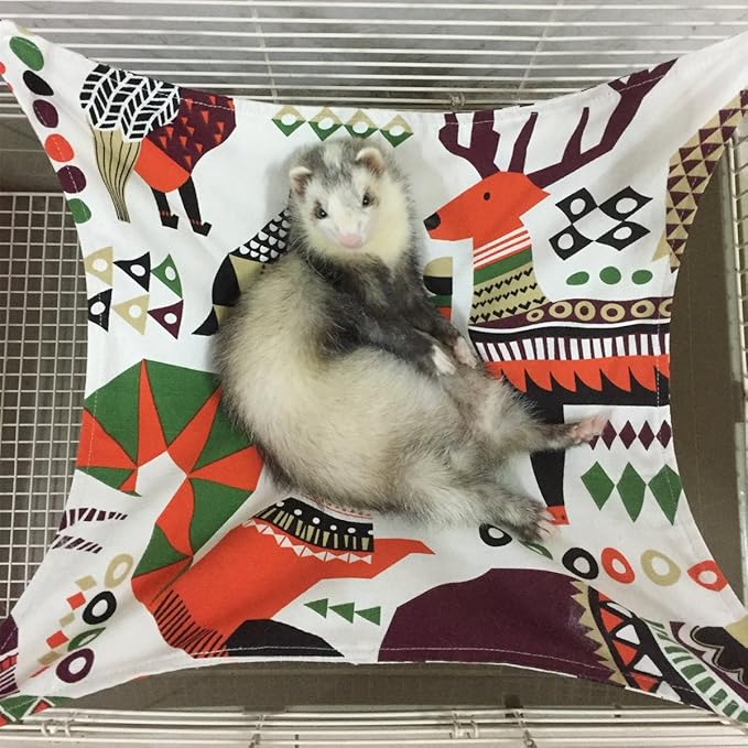 ferret hammock set