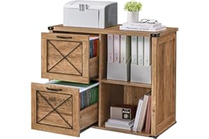 VASAGLE Lateral File Cabinet, Filing Cabinet with 2 Drawers, Printer Stand, 2 Open Compartments, Fit A4, Letter Size, Hanging