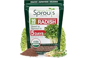 NATURE JIMS SPROUTS Nature Jims Radish Sprout Seeds – 16 Ounce Organic Sprouting Seeds – Non-GMO Premium Radish – Resealable Bag for Longer Freshness Rich in Vitamins, Minerals, Fiber