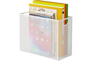 DELIFOX Hanging File Folder Organizer, Letter-Size File Folder Holder Storage Box, Desk Metal Mesh Big Desk File Folder Storage, No installation required (White)