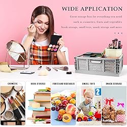 2-Pack Plastic Baskets for Shelf Storage