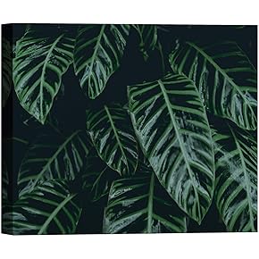 SIGNWIN Canvas Wall Art Tropical Rainforest Green Leaves...