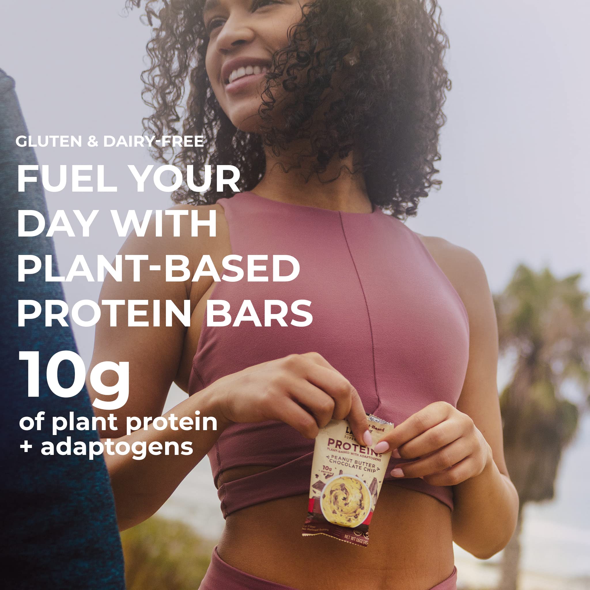 Laird Superfood Functional Protein Bars – Protein Bar but Better with Real Ingredients, Functional Mushrooms 10g Plant-Based Protein, 6g Fiber - Non-GMO - Peanut Butter Chocolate Chip, 10 Count (Pack of 1)